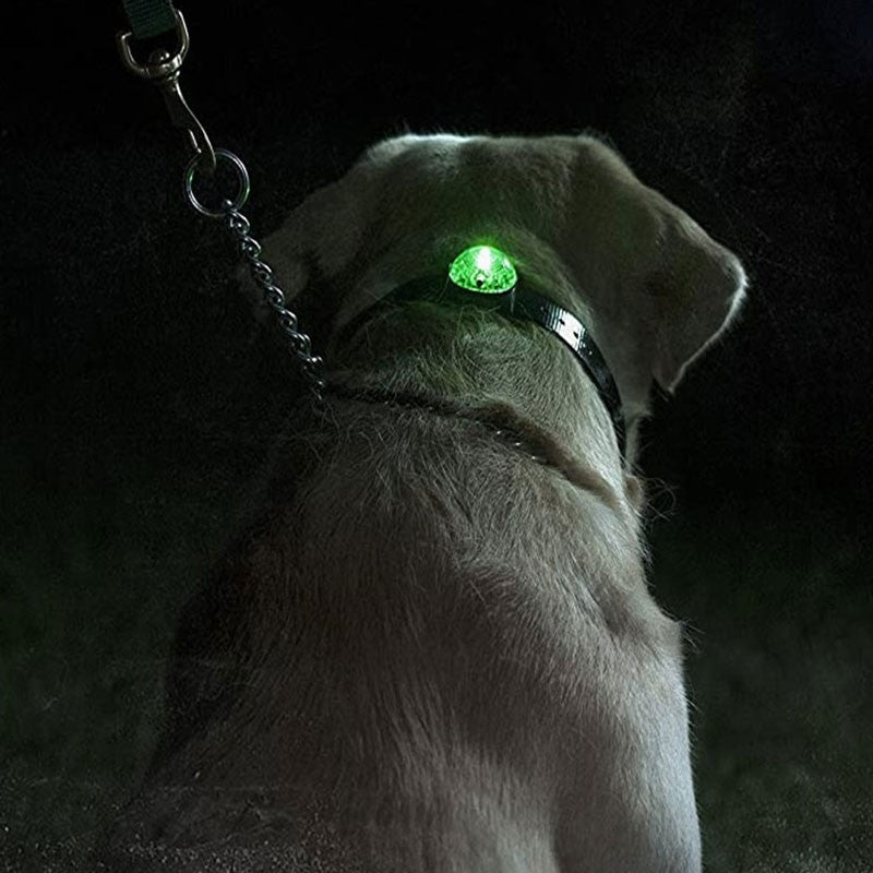 SPORTDOG | Locator Beacon