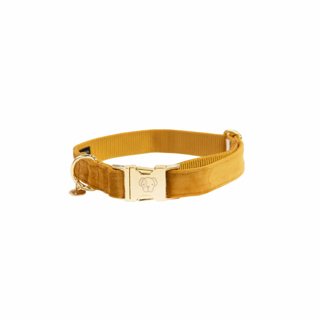 KENTUCKY DOGWEAR | Velvet Halsband - Mosterd