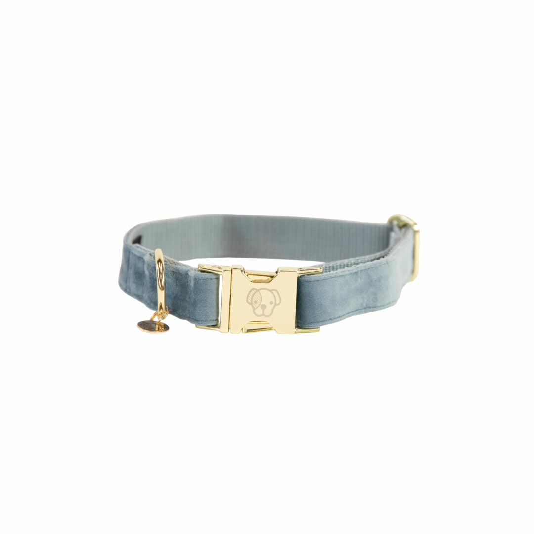 KENTUCKY DOGWEAR | Velvet Halsband - Lichtblauw